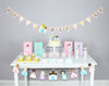 multiracial princess birthday party decorations